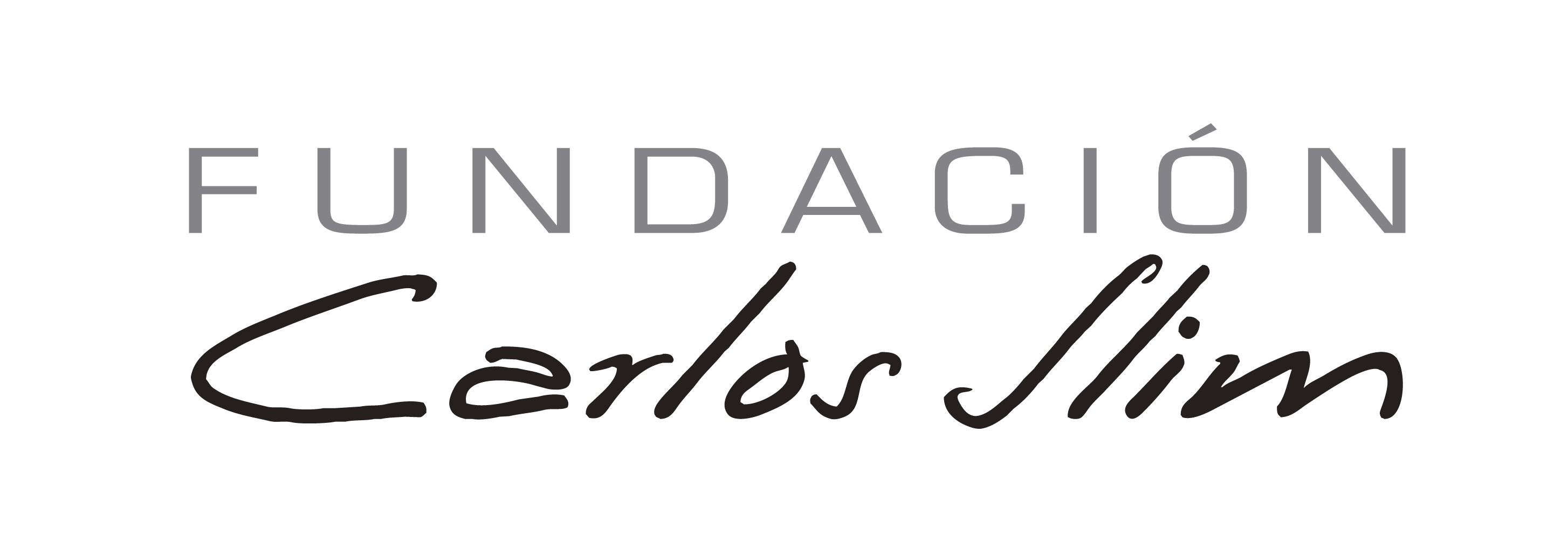 Fundación Carlos Slim